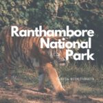 Bookmark Resorts Jogi Mahal Ranthambore – Hotel Review