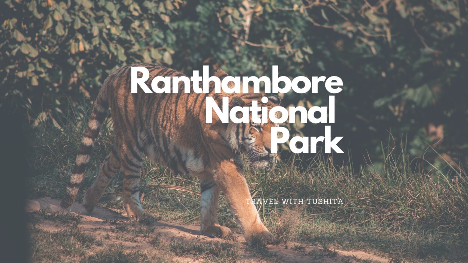 Ranthambore National Park